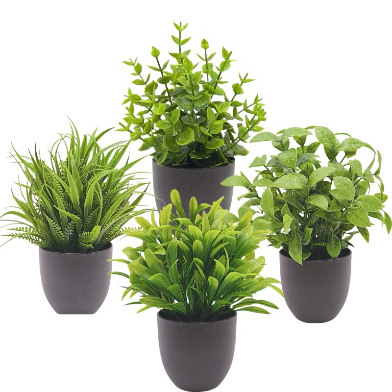 Simulatie Groene Plant Bonsai  - Home Office Layout recensie en prijs
